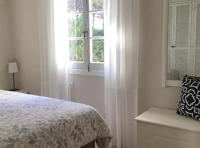 Fonoll Marí * Cala'n Forcat